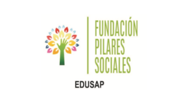 Timeline: Discapacidad- Pilares