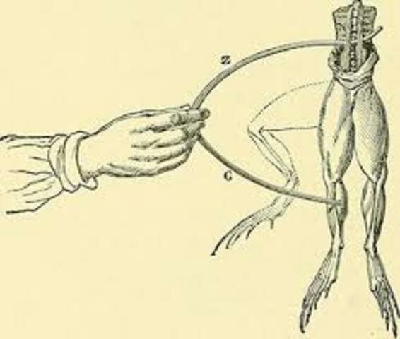 Electricidad animal Luigi Galvani