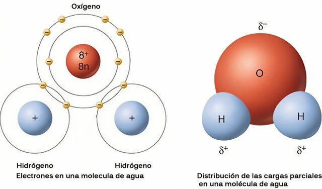 Proporción atómica del agua Joseph Gay Lussav