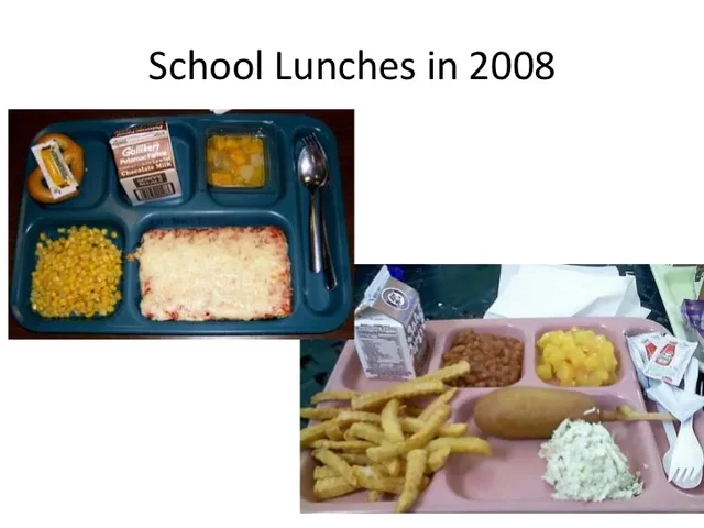 School Lunch Programs