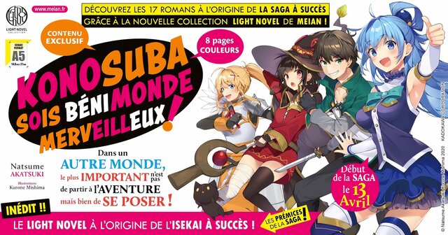 Light Novel en France
