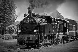 TRANSPORTE
