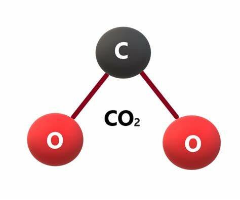 Dióxido de carbono Jean Baptiste Van Helmon