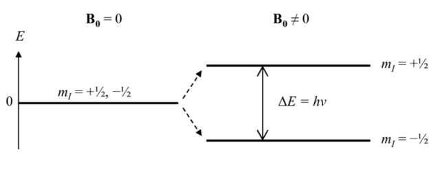 Efecto Zeeman Pieter Zeeman