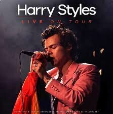 HARRY PRIMER CONCIERTO EN LA ARGENTINA