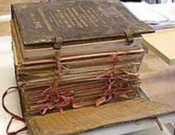 clasificación sistemática