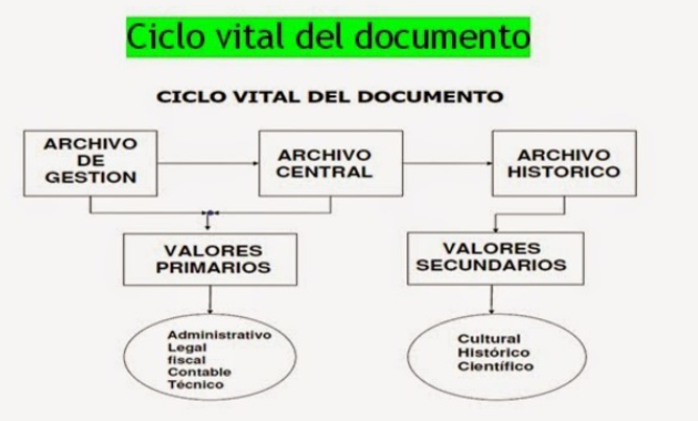 ciclo vital del documento