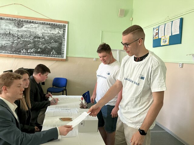 Simulated elections to the EP activities