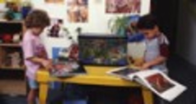 Today's a good day to......