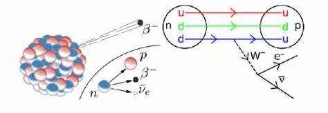 Desintegración de un núcleo John D. Cookcroft y Ernest T. S. Walton