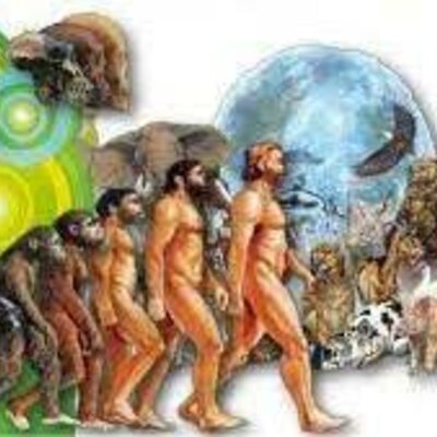 Timeline: Teorías Evolutivas Fijísimas y Evolucionistas