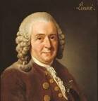 Se formaliza el fijismo