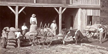 El Estado sufre una crisis económica