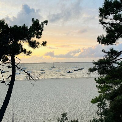 Timeline: Foodies aus  Arcachon