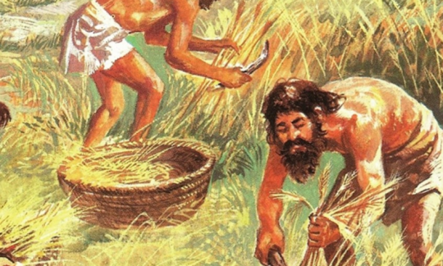 Inicio Actividades Agrícolas- Neolítico