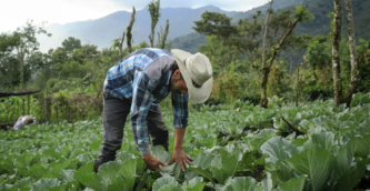 Creación de la Dirección General de Agricultura