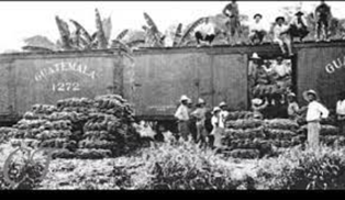 Banano como producto de importación