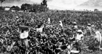 Producción de diversos alimentos en Guatemala