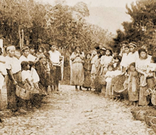 Creación de estaciones agrícolas experimentales