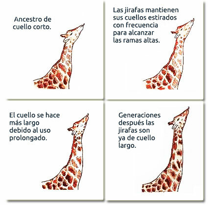 Juan - Baptiste Lamarck