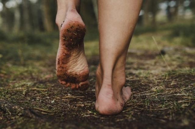 Caminhar, uma filosofia: Minhas considerações