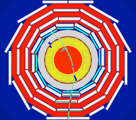 Muon