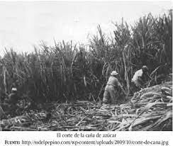 El Desarrollo Agrícola