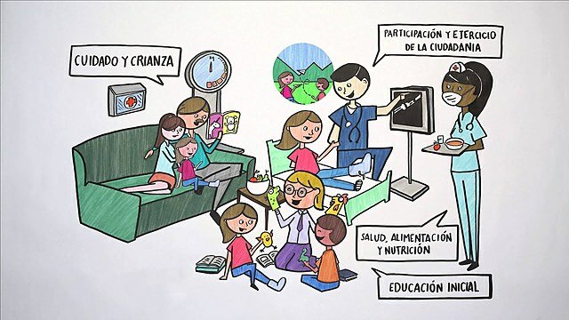 11.	Modelo interdisciplinario: