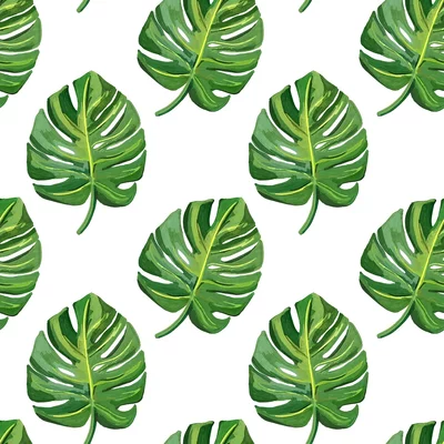 Timeline: auto linea del tiempo