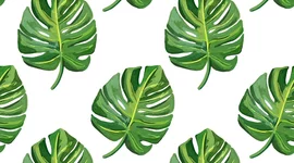 Timeline: auto linea del tiempo