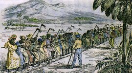 Timeline: Historia del derecho comercial - Pareja de trabajo: Daniela Bayona y Laura Rivera.