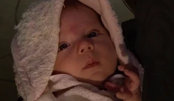 A Chosen Princess: Trust versus Mistrust