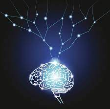 Teoría cibernética de Norbert Wiener