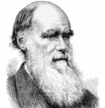 Siglo XIX - El impacto de la Teoría de la Evolución: Charles R. Darwin: