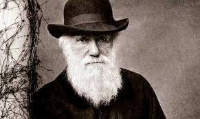 Enfoque de las necesidades básicas