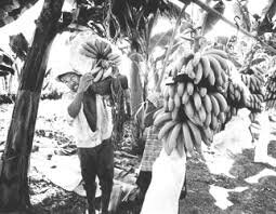 Oficio en el Régimen Liberal (1865-1871)