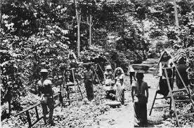 El 8 de enero de 1877 se publicó el Decreto 170.