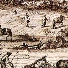 Transferencia de Tierras