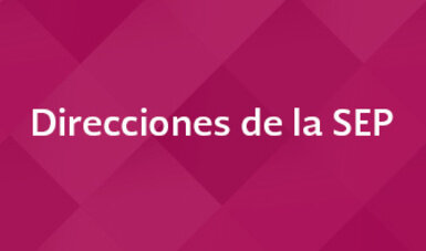 México escolaridad a distancia