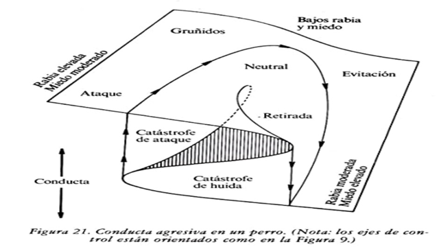 Teoría de las Catástrofes