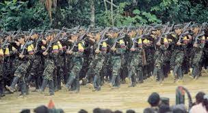 Conformación de Frentes Guerrilleros