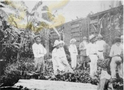 Bloqueo y apertura de mercados