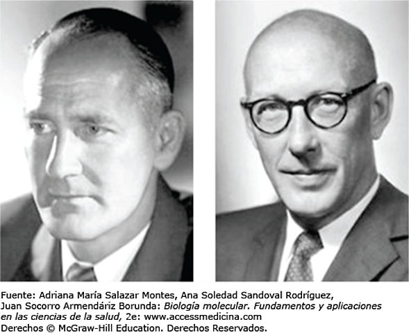 Sir William Thomas Astbury y Florence Bell