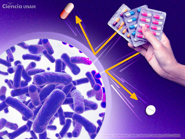 Mutaciones y resistencia bacteriana
