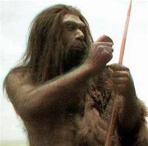 Homo neanderthalensis