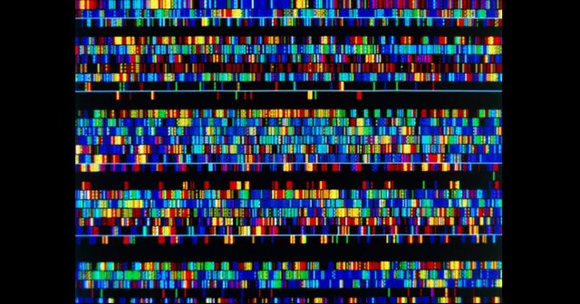 Secuencia completa del genoma humano