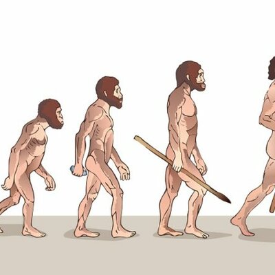 Timeline: Línea de tiempo fijismo - evolucionismo