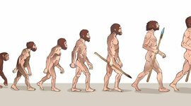 Timeline: Línea de tiempo fijismo - evolucionismo
