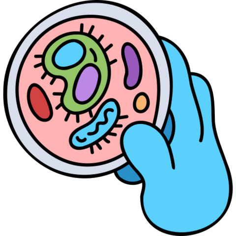 Avery MacLeod y McCarty