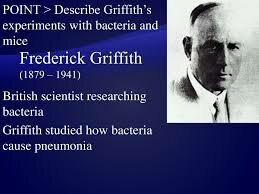 "El principio transformante" de Frederick Griffith